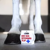 gallery-11767-for-104024