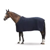 Lippo Ulldekken,Navy