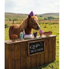 QHP Horse toy Snackcounter
