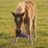 gallery-11907-for-104130