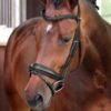 Velociti LUSSO Elite Dressur hodelag, sort