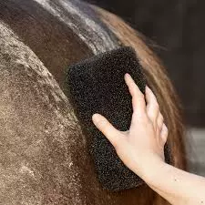 QHP Equi super shiner