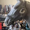 QHP Head Collar set Avenna