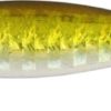 Westin Salty jig 22g 7cm Green sardine