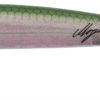 Abu Garcia  MO Coast Slim 12g Ghost