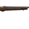 CZ 457 American 17 HMR m/gjenger