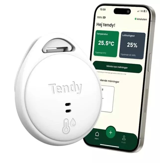 Tendy Mørningstimer