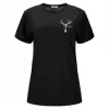 Aclima  Lightwool 140 Classic Tee Antler W´S