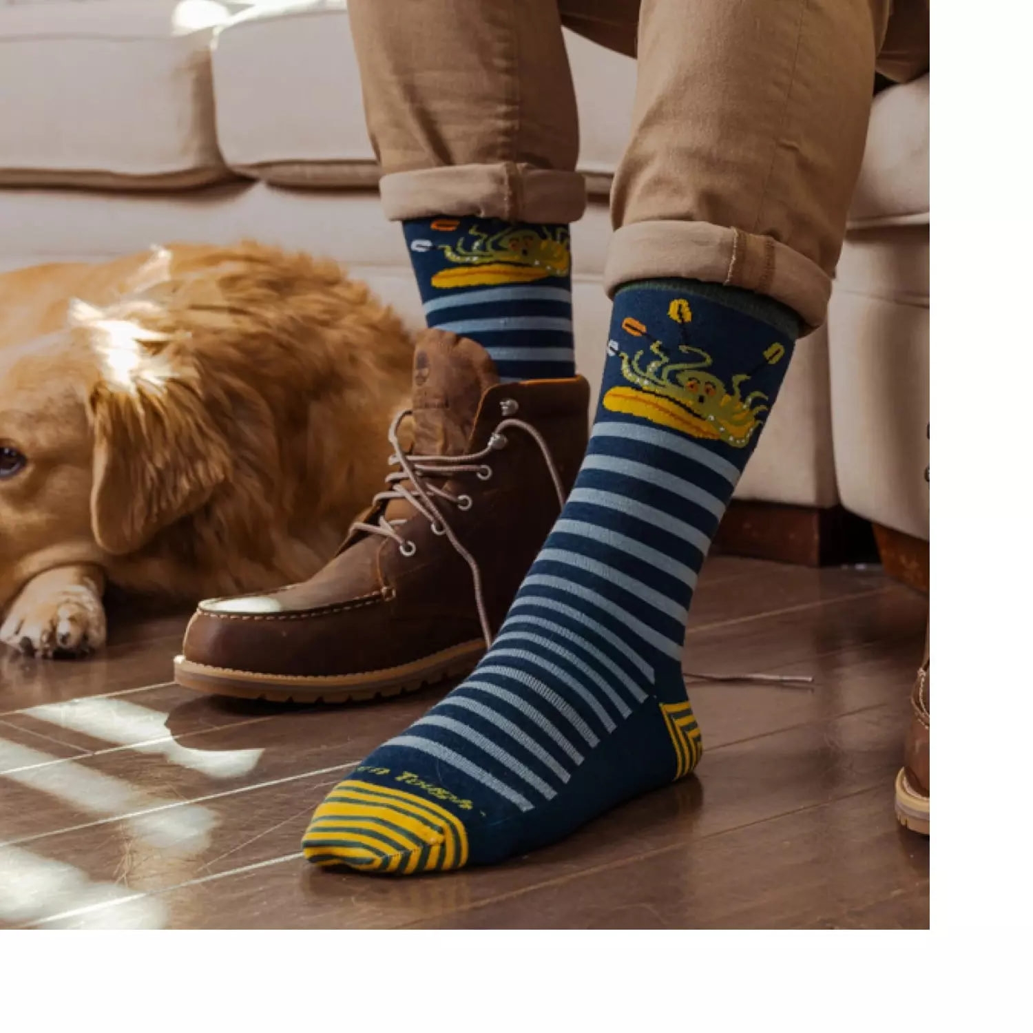 gallery-6101-for-1985860