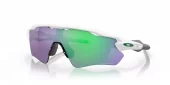 Oakley Radar EV Path Polished Black