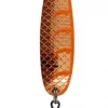 Buch Salmon 30GR C/O