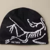 ArcTeryx Bird Head Toque