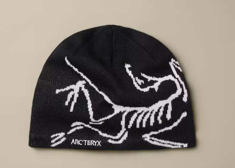 ArcTeryx Bird Head Toque