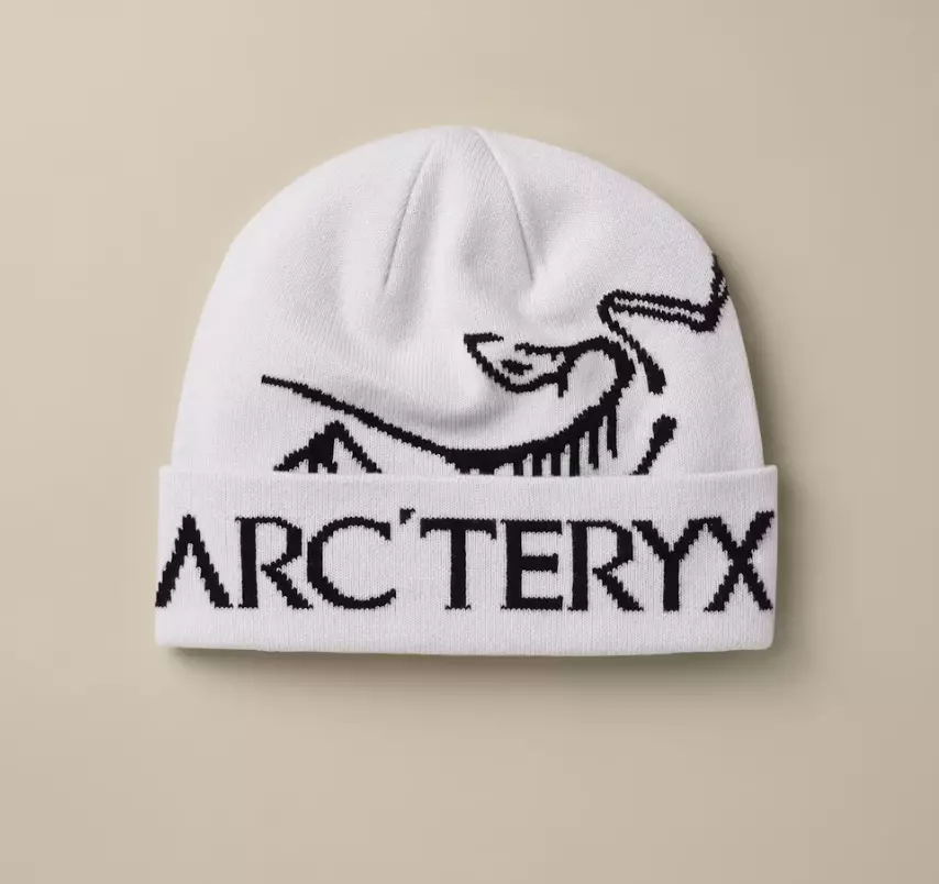 ArcTeryx Bird Word Toque
