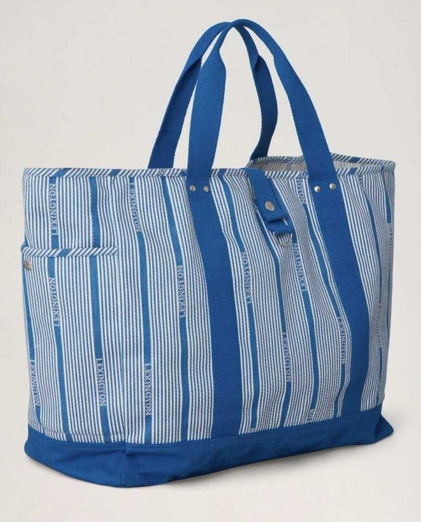 Madison organic cotton jacquard beach bag - blue multi stripe