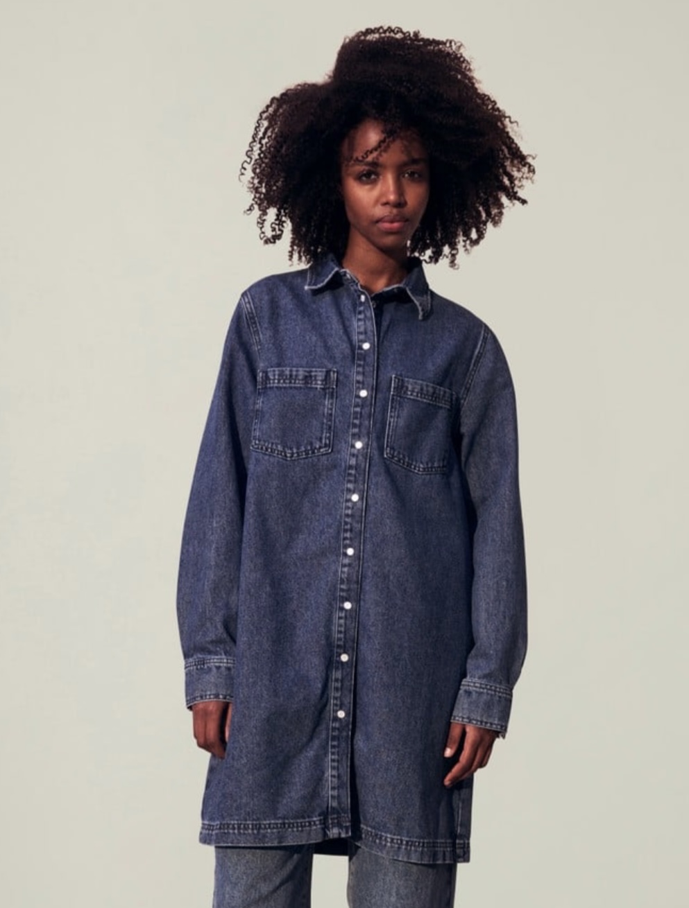 Isabel Denim Dresss