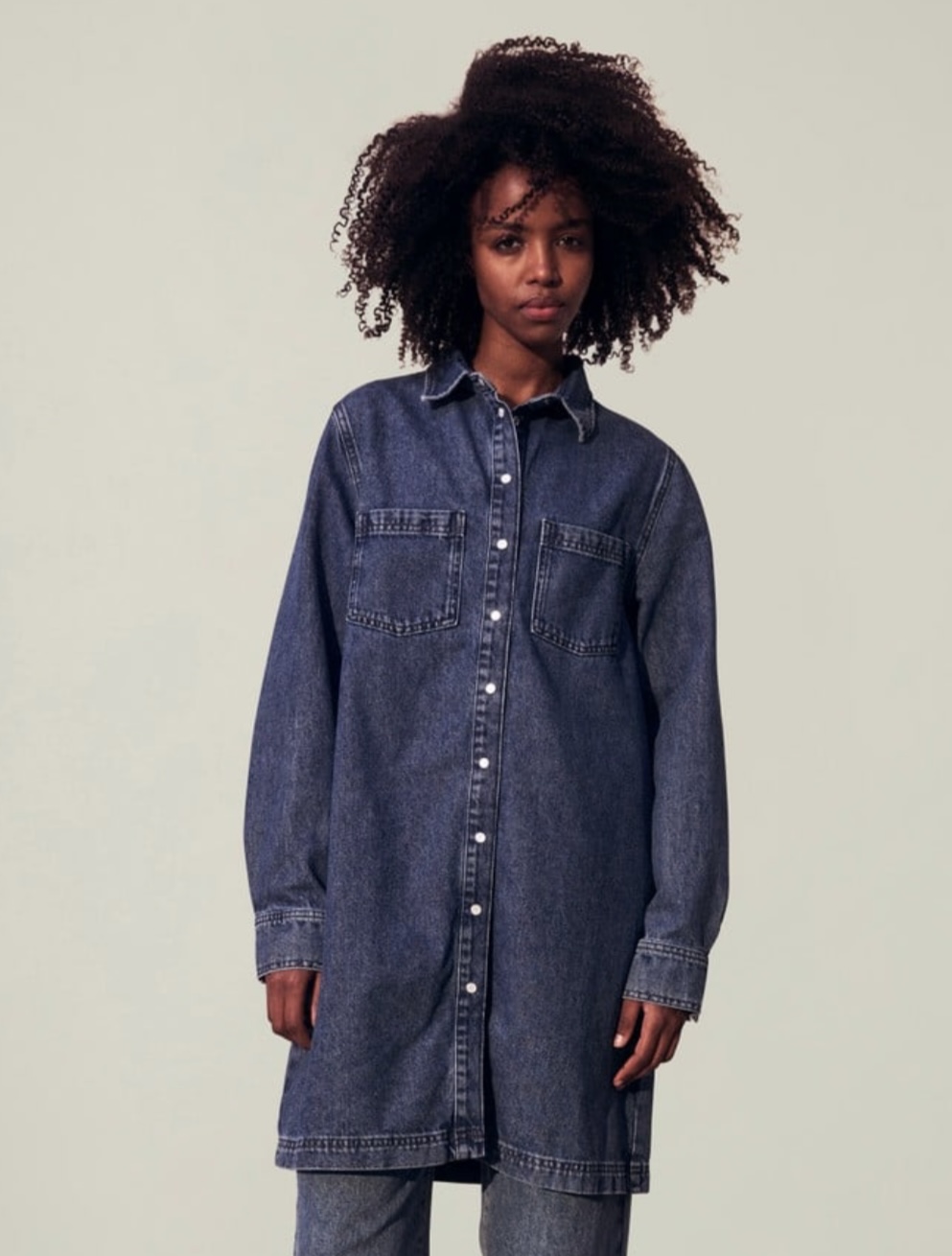 Lexington Isabel Denim Dress