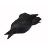 FM Rooster cape black