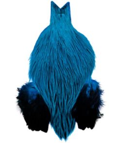 FM Rooster cape kingfisher blue