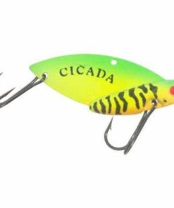 Cicada Firetiger 3/8 OZ spinner