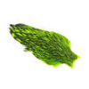 Whiting Hen Cape Grizzly Green/Vhartreuse