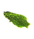 Whiting Hen Cape Grizzly Green/Vhartreuse