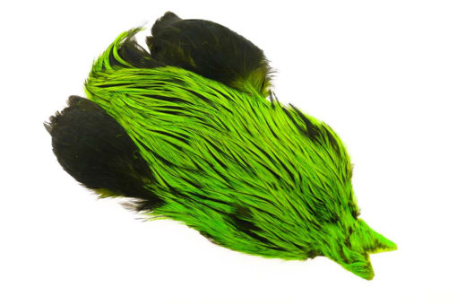 4B Whiting Rooster - Badger Dyed Fl Green Chart