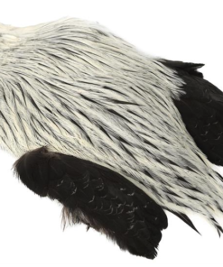 Whiting Freshwater hanenakke Silver Badger