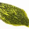 Whiting American Hen Cape Black Laced - Fl. Yellow Chartreuse