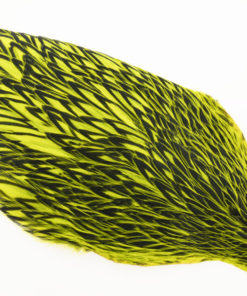 Whiting American Hen Cape Black Laced - Fl. Yellow Chartreuse