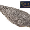 Whiting American Rooster Cape - Grizzly
