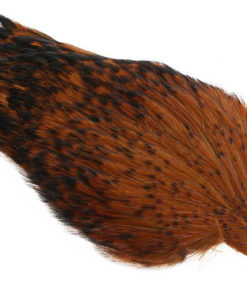 Whiting American Rooster Cape - Black Laced Brown