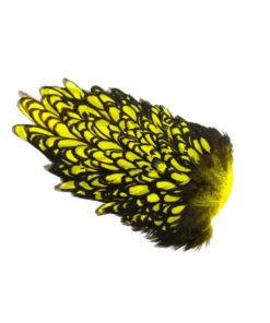 Whiting American Hen Saddle Black Laced - Yellow