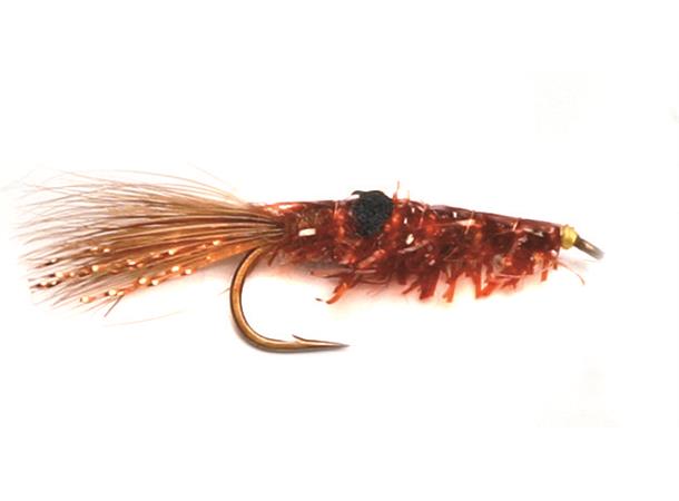 Coååer shrimp #8