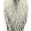 Whiting American Rooster Cape Silver Badger