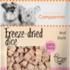 Companion freeze-dried dice - and