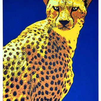 Storvik, Ketil - Cheetah