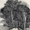 Welo, Larry - The lane