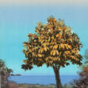 Kielland, Gabrielle - Under treet