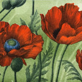 Harr, Jan - Papaver