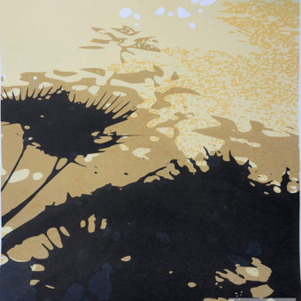Andresen, Stig - Sombras l