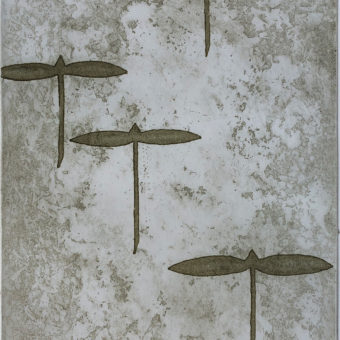 Knudsen, Cathrine - Stille ferd, variant l