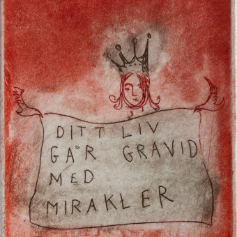 Thorhallsdottir, Bjørg - Somethings come into our...