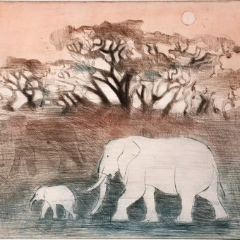 Due, Nina - Elefantens drøm