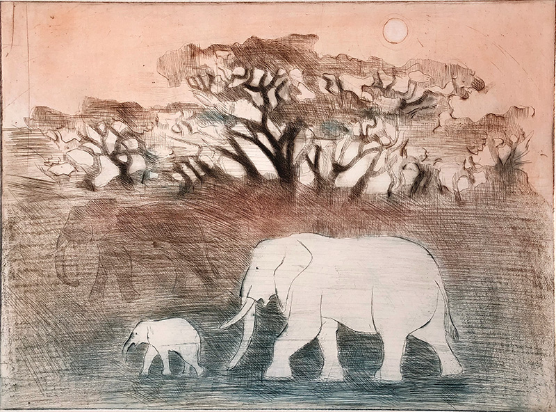 Due, Nina - Elefantens drøm