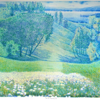 Hogstvedt, Tore - Wild Flowers ll