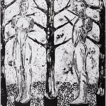 Widerberg, Nico - Skogen