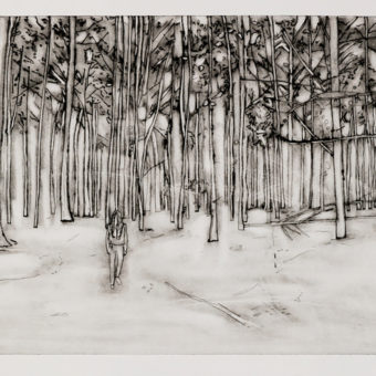 Tjemsland, Anita - Into the wild nr. 2