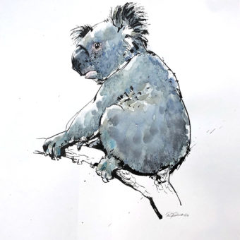 Møkleby, Per Ragnar - Koala, tegning