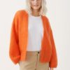 Rastina cardigan koi